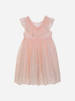 Kids girl pink embroidered dress