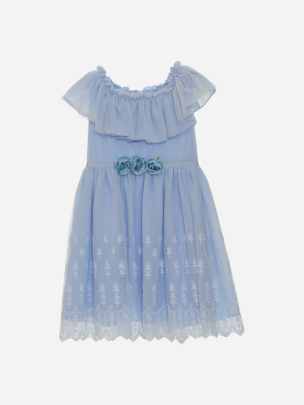 Blue lace girls dress decorated with roses