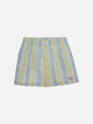 Blue and yellow striped swim shorts