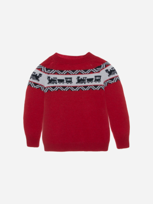 Red train knit sweater