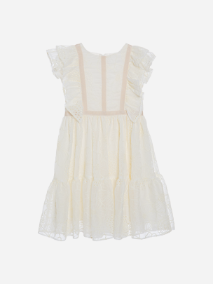 Floral embroidered lace beige dress